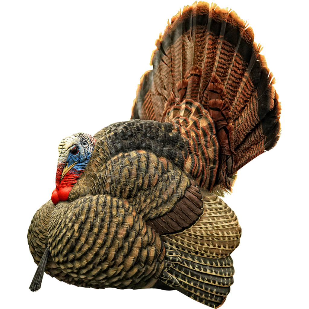 5 Things to Check Before Turkey Season Starts