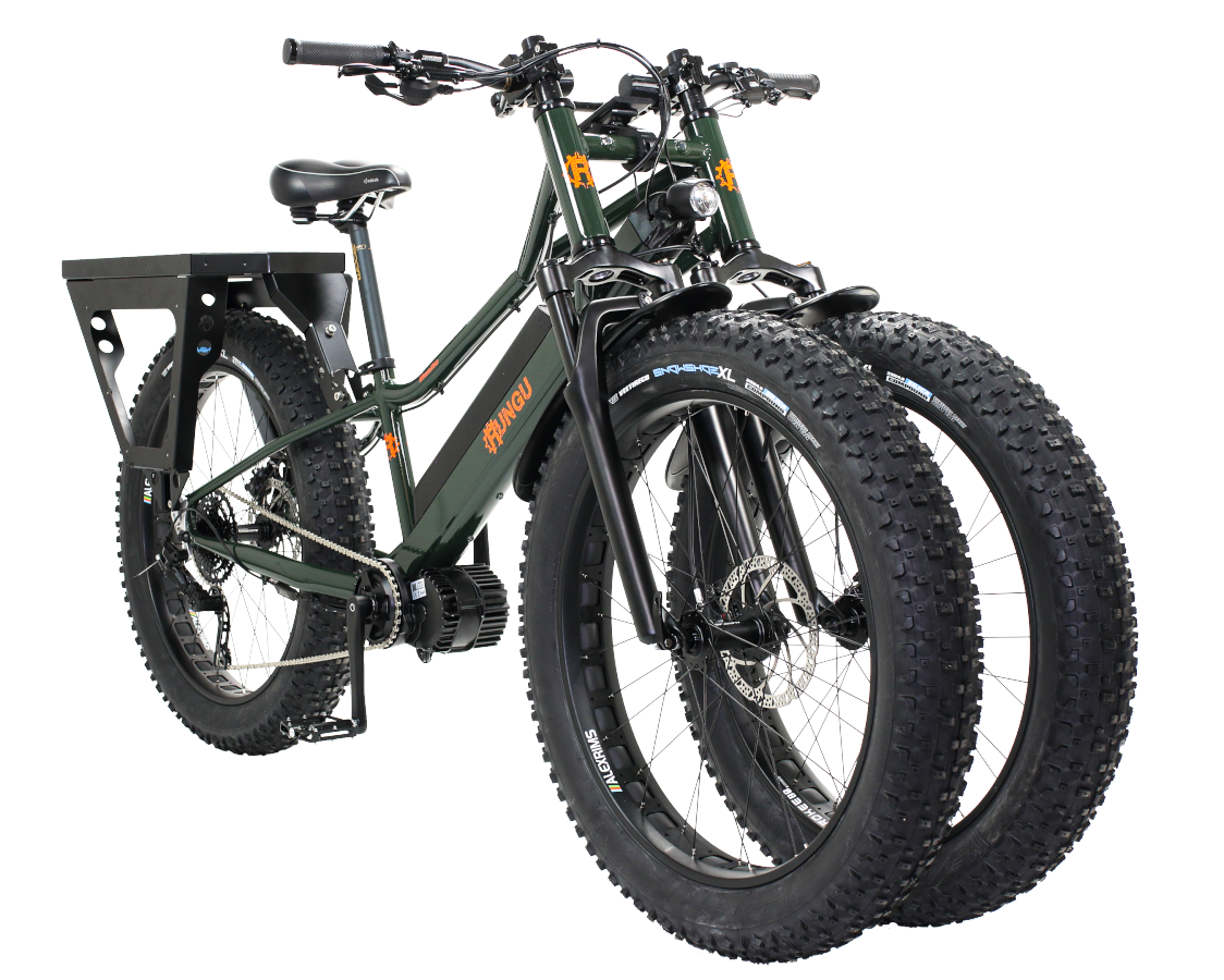 Three Wheel Hunting Bike