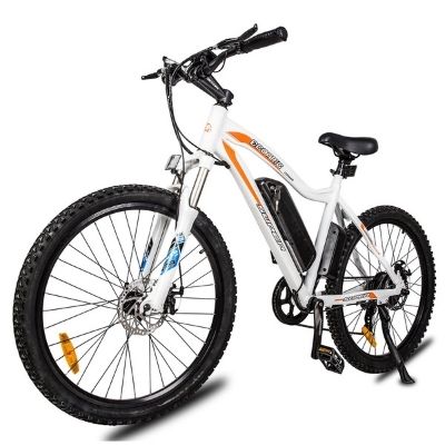Ecotric bikes