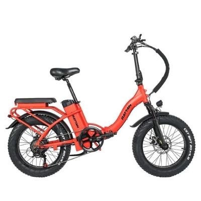 Rattan ebike