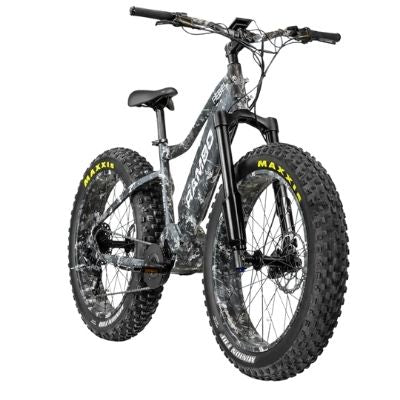 Fat tire electric bike