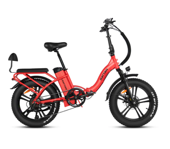 rattan electric bike