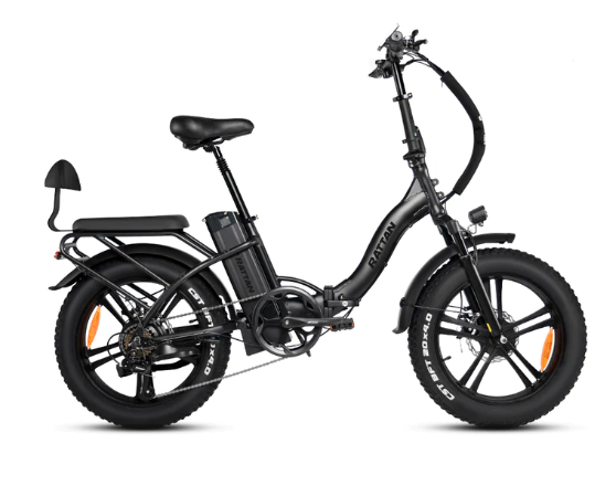 rattan electric bike