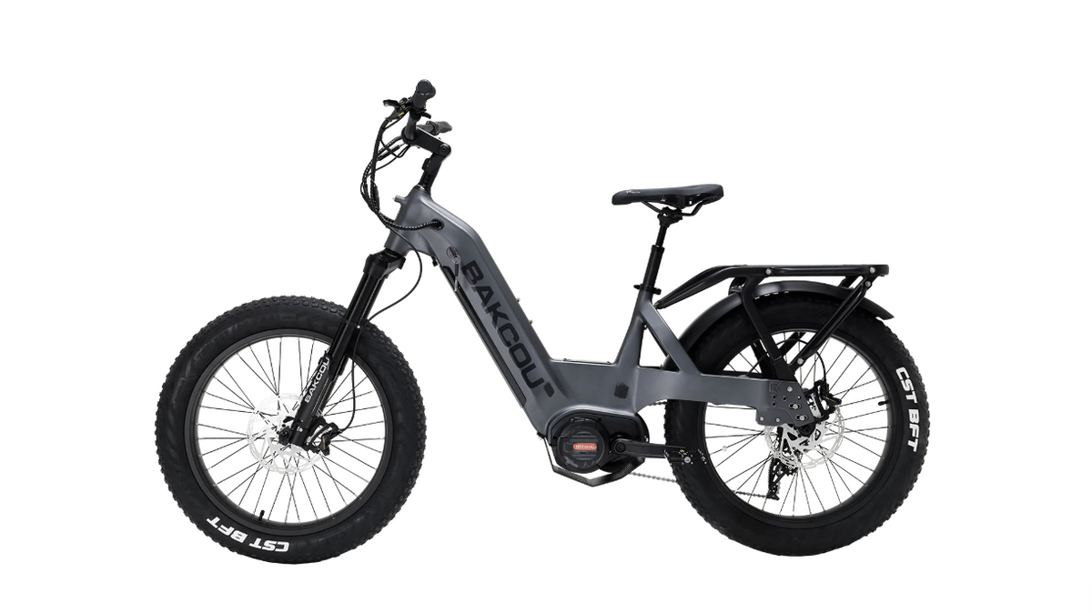 Bakcou Mule SD Electric Bike