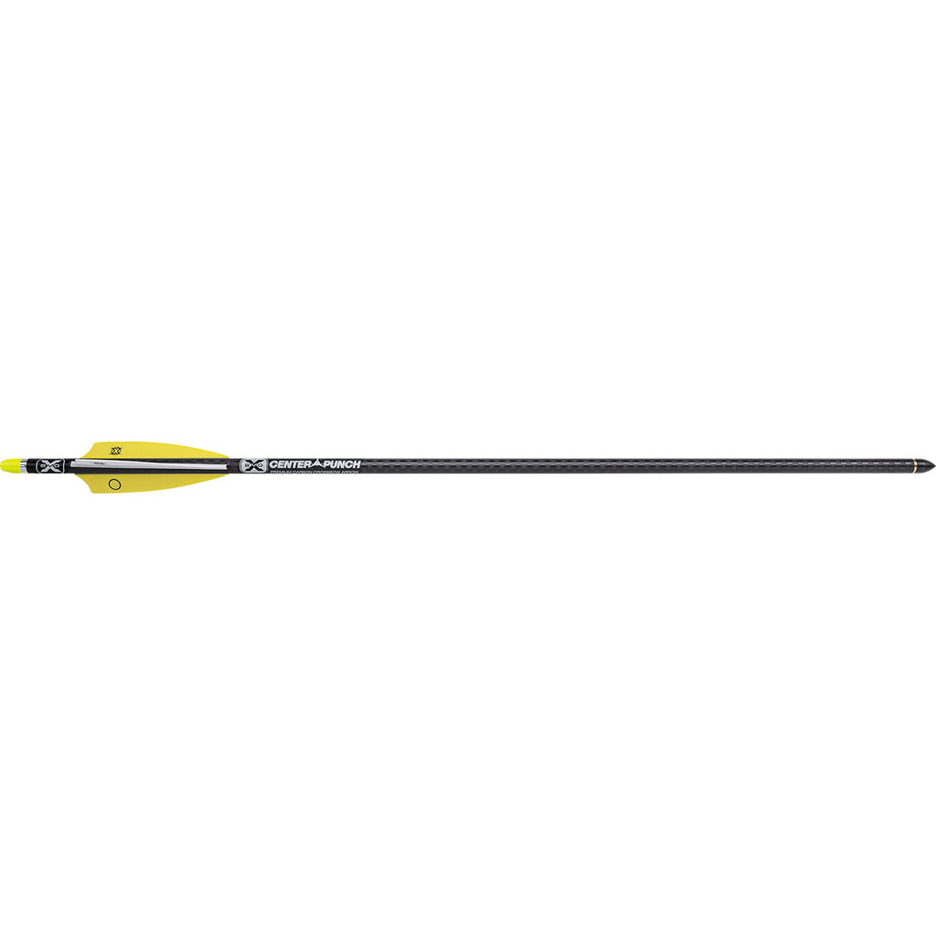 TenPoint EVO-X CenterPunch Lighted Carbon Arrows 20 in.