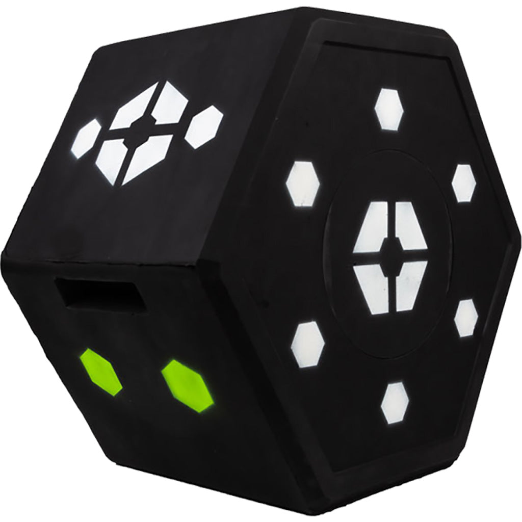 Delta Big 8 XL Archery Target