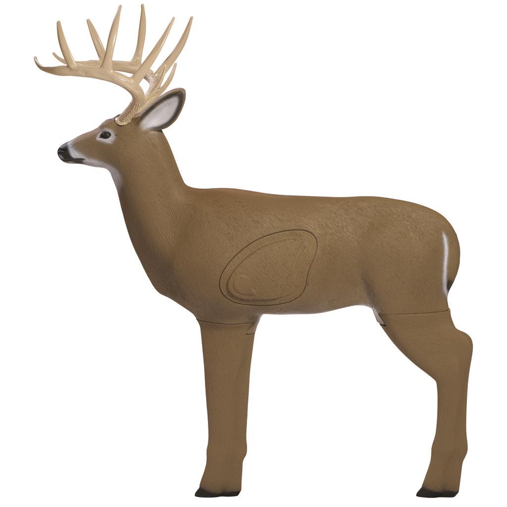 3D Shooter Buck Target