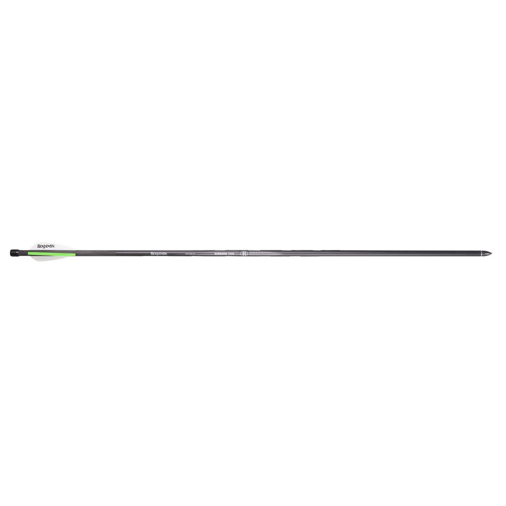 Benjamin Airbow Arrows 6 pk.
