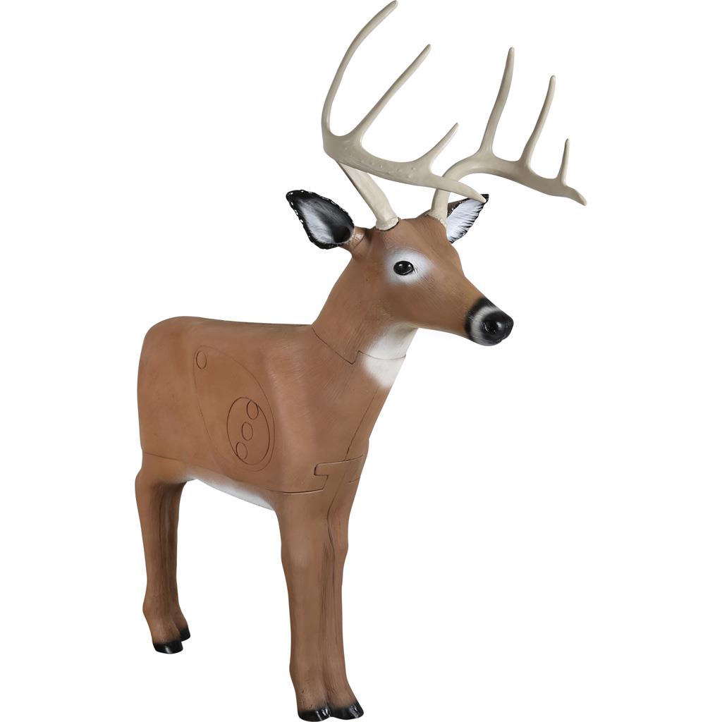 3D buck target