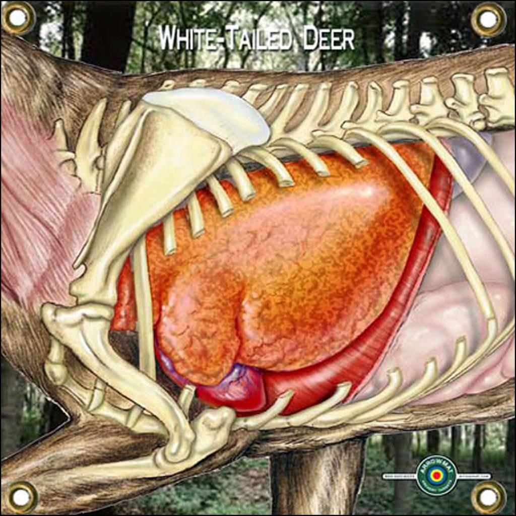 Arrowmat Foam Target Face Whitetail Vitals 17x17 in.