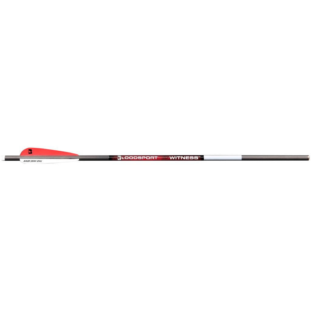 BloodSport Witness Crossbow Bolts 22 in. 4 in. Vanes 6 pk.