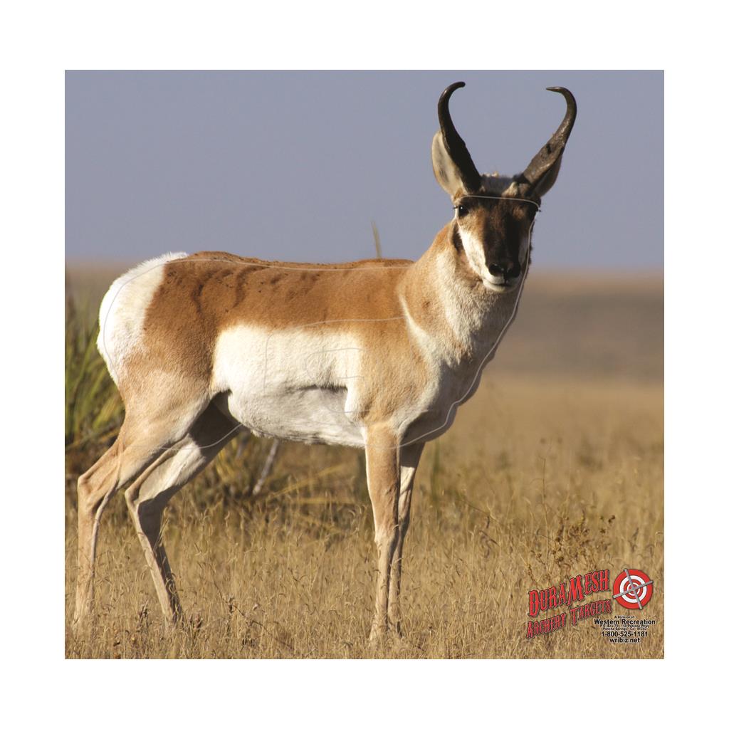 DuraMesh Archery Target Antelope 25 in. x 32 in.