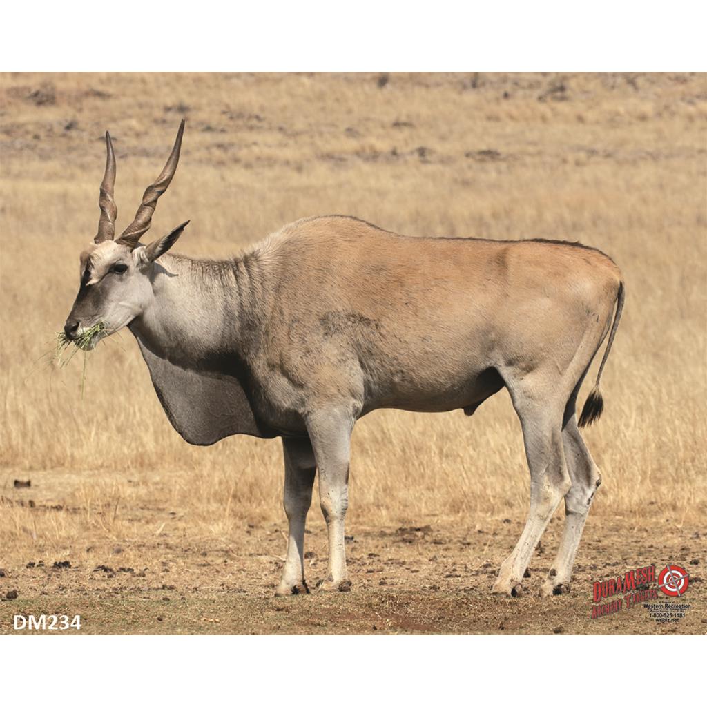 DuraMesh Archery Target Eland 25 in. x 32 in.