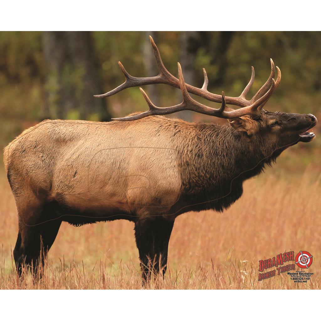DuraMesh Archery Target Elk 1 25 in. x 32 in.