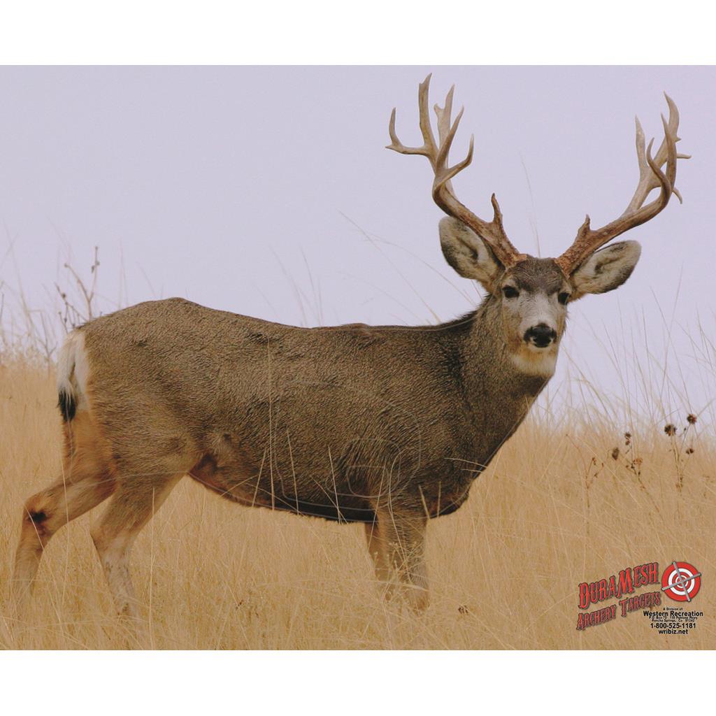 DuraMesh Archery Target Mule Deer 2 25 in. x 32 in.