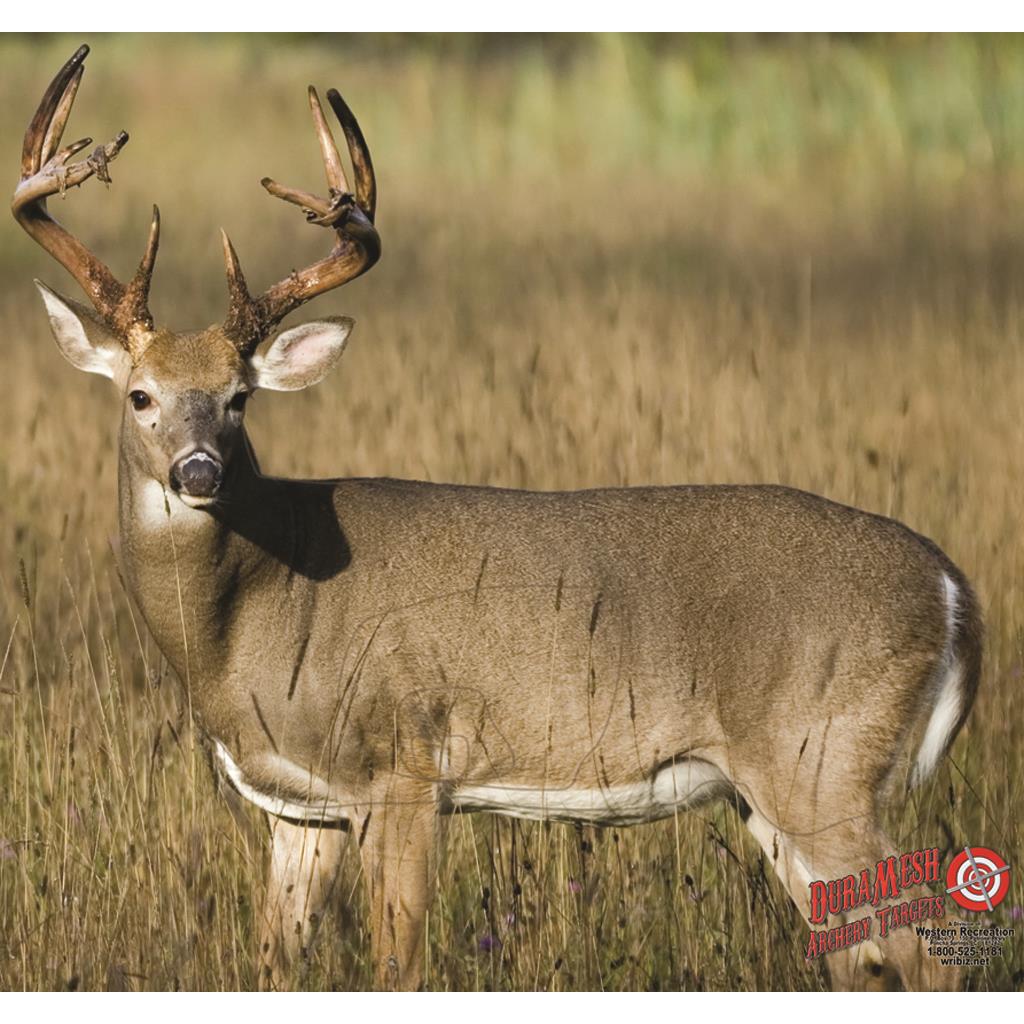 DuraMesh Archery Target Whitetail 4 25 in. x 32 in.