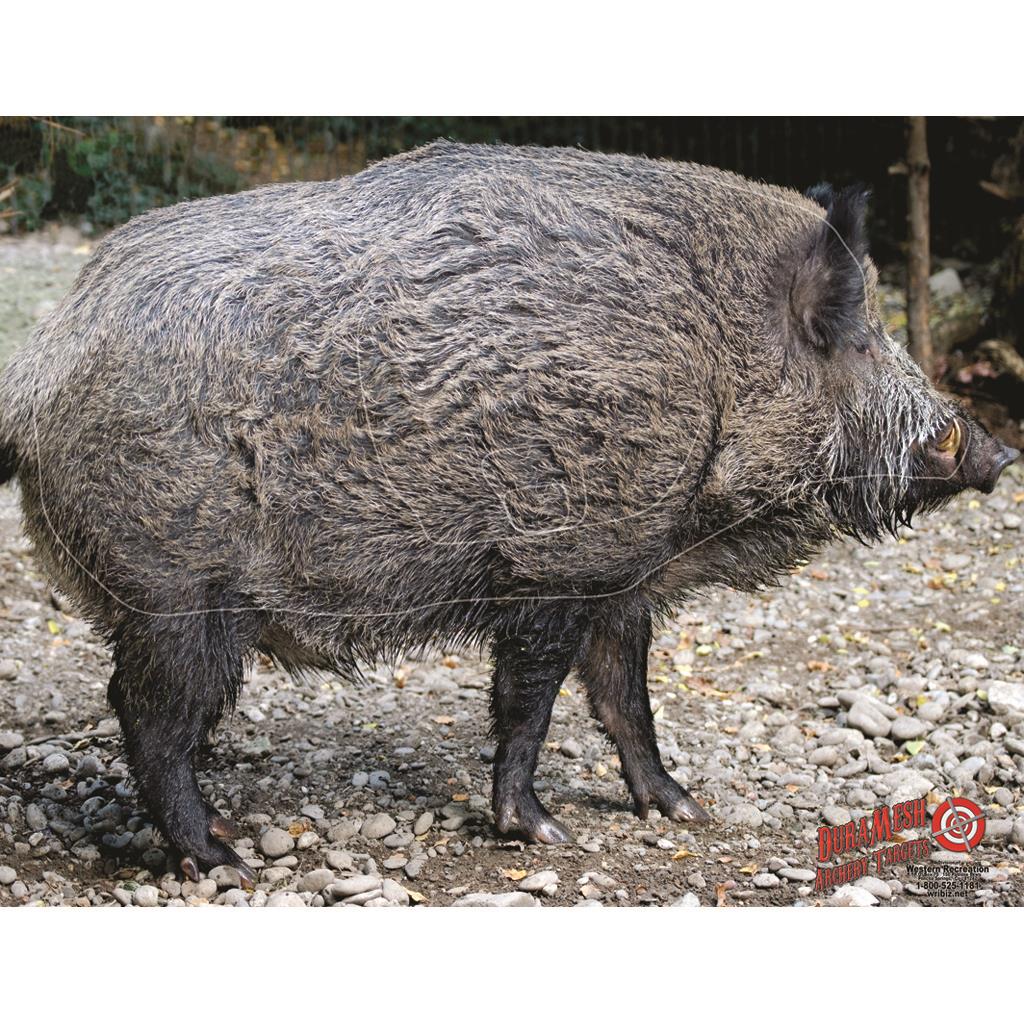 DuraMesh Archery Target Wild Boar 25 in. x 32 in.