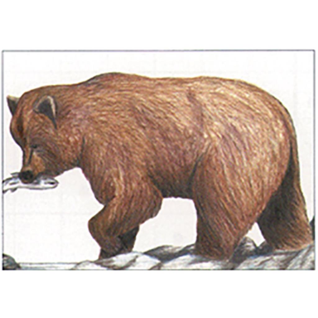 Maple Leaf NFAA Animal Faces Group 1 Grizzly